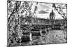 Pont des Arts - Institut de France - Paris - France-Philippe Hugonnard-Mounted Photographic Print