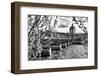 Pont des Arts - Institut de France - Paris - France-Philippe Hugonnard-Framed Photographic Print