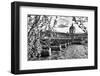 Pont des Arts - Institut de France - Paris - France-Philippe Hugonnard-Framed Photographic Print