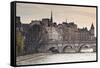 Pont Neuf and the Ile De La Cite in Paris, France, Europe-Julian Elliott-Framed Stretched Canvas