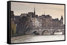 Pont Neuf and the Ile De La Cite in Paris, France, Europe-Julian Elliott-Framed Stretched Canvas