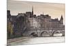 Pont Neuf and the Ile De La Cite in Paris, France, Europe-Julian Elliott-Mounted Photographic Print