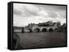 Pont Neuf Bridge and the Conciergerie in the background, Paris, France-Murat Taner-Framed Stretched Canvas