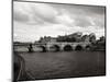 Pont Neuf Bridge and the Conciergerie in the background, Paris, France-Murat Taner-Mounted Photographic Print