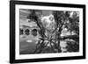 Pont of the Morts, bridge, the Moselle, Metz, Département Moselle, region Alsace-Champagne-Ardenne--Klaus Neuner-Framed Photographic Print