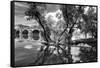Pont of the Morts, bridge, the Moselle, Metz, Département Moselle, region Alsace-Champagne-Ardenne--Klaus Neuner-Framed Stretched Canvas