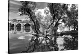 Pont of the Morts, bridge, the Moselle, Metz, Département Moselle, region Alsace-Champagne-Ardenne--Klaus Neuner-Stretched Canvas