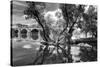 Pont of the Morts, bridge, the Moselle, Metz, Département Moselle, region Alsace-Champagne-Ardenne--Klaus Neuner-Stretched Canvas