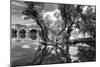 Pont of the Morts, bridge, the Moselle, Metz, Département Moselle, region Alsace-Champagne-Ardenne--Klaus Neuner-Mounted Photographic Print