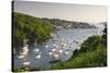 Pont Pill, Polruan and the Fowey Estuary from Hall Walk Near Bodinnick, Cornwall, England. Summer-Adam Burton-Stretched Canvas