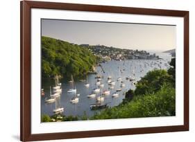 Pont Pill, Polruan and the Fowey Estuary from Hall Walk Near Bodinnick, Cornwall, England. Summer-Adam Burton-Framed Photographic Print