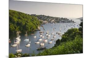 Pont Pill, Polruan and the Fowey Estuary from Hall Walk Near Bodinnick, Cornwall, England. Summer-Adam Burton-Mounted Photographic Print