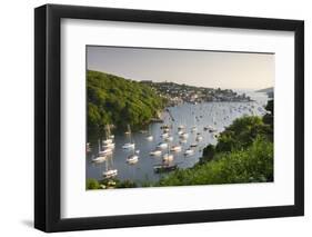 Pont Pill, Polruan and the Fowey Estuary from Hall Walk Near Bodinnick, Cornwall, England. Summer-Adam Burton-Framed Photographic Print