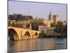 Pont St. Benezet Bridge and Papal Palace, Avignon, Provence, France, Europe-John Miller-Mounted Photographic Print