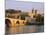 Pont St. Benezet Bridge and Papal Palace, Avignon, Provence, France, Europe-John Miller-Mounted Photographic Print