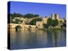 Pont St. Benezet Bridge Over the Rhone River, Avignon, Vaucluse, Provence, France-Gavin Hellier-Stretched Canvas