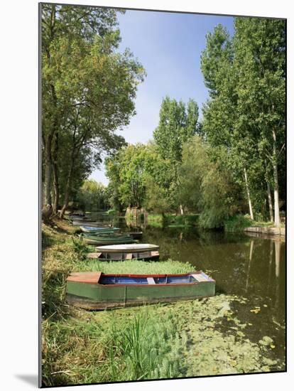 Pont St. Martin, Western Loire, Pays De La Loire, France-Michael Busselle-Mounted Photographic Print