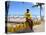 Ponta Negra Beach, Natal, Rio Grande Do Norte State, Brazil, South America-Sergio Pitamitz-Stretched Canvas