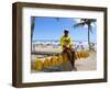 Ponta Negra Beach, Natal, Rio Grande Do Norte State, Brazil, South America-Sergio Pitamitz-Framed Photographic Print