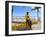 Ponta Negra Beach, Natal, Rio Grande Do Norte State, Brazil, South America-Sergio Pitamitz-Framed Photographic Print