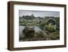 Ponte Maceira, A Coruna, Galicia, Spain, Europe-Michael Snell-Framed Photographic Print