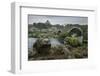 Ponte Maceira, A Coruna, Galicia, Spain, Europe-Michael Snell-Framed Photographic Print