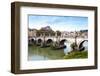 Ponte Sant'Angelo, Tiber River, Rome, Lazio, Italy, Europe-Nico Tondini-Framed Photographic Print