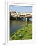 Ponte Vecchio (14th Century), Firenze, UNESCO World Heritage Site, Tuscany, Italy-Nico Tondini-Framed Photographic Print