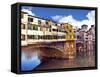 Ponte Vecchio and Arno River, Florence, Tuscany, Italy-Miva Stock-Framed Stretched Canvas