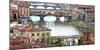 Ponte Vecchio Bridge across Arno River, Florence, UNESCO World Heritage Site, Tuscany, Italy, Europ-Hans-Peter Merten-Mounted Photographic Print