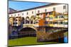 Ponte Vecchio, Firenze, Tuscany, Italy, Europe-Nico Tondini-Mounted Photographic Print