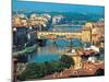 Ponte Vecchio in Florence-null-Mounted Photographic Print