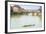 Ponte Vecchio, River Arno, UNESCO, Firenze, Tuscany, Italy-Nico Tondini-Framed Photographic Print