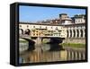 Ponte Vecchio, UNESCO World Heritage Site, Firenze, Tuscany, Italy-Nico Tondini-Framed Stretched Canvas