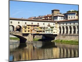 Ponte Vecchio, UNESCO World Heritage Site, Firenze, Tuscany, Italy-Nico Tondini-Mounted Premium Photographic Print