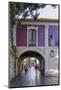 Pontevedra, Pontevedra, Galicia, Spain, Europe-Michael Snell-Mounted Photographic Print