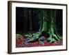 Ponthus Beech 2-Philippe Manguin-Framed Photographic Print