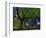 Ponthus Beech Tree 1-Philippe Manguin-Framed Photographic Print