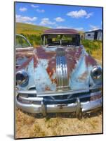 Pontiac Blues-Amanda Lee Smith-Mounted Photographic Print