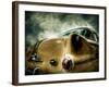 Pontiac, no. 1-Stephen Arens-Framed Photographic Print