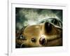 Pontiac, no. 1-Stephen Arens-Framed Photographic Print