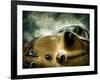 Pontiac, no. 1-Stephen Arens-Framed Photographic Print