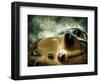 Pontiac, no. 1-Stephen Arens-Framed Photographic Print