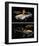 Pontiac-Sporty Cars Luxurious-null-Framed Premium Giclee Print