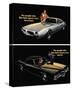 Pontiac-Sporty Cars Luxurious-null-Stretched Canvas