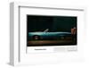 Pontiac-The Great One is Here-null-Framed Premium Giclee Print