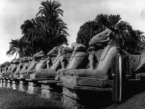 Taking on the Mail Port Said Egypt-Pontin Brown-Photographic Print