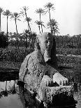 Egypt Memphis-Pontin Brown-Framed Photographic Print
