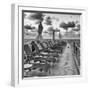 Pontoon with Deck Chairs - Key West - Florida-Philippe Hugonnard-Framed Photographic Print