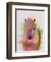 Pony 1 Portrait Rainbow Splash-Fab Funky-Framed Art Print